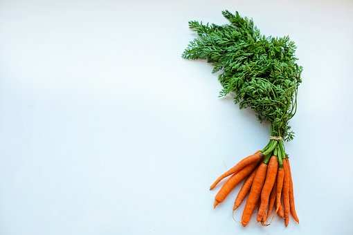 ニンジンとワインの合わせ方 ワイン 野菜図鑑 Vegeage